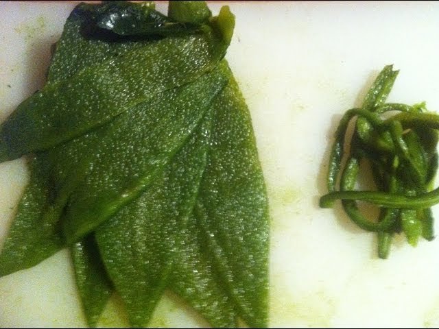 Salsa de chile poblano con almendra y frijoles