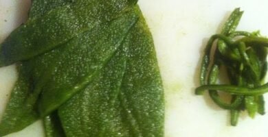 Salsa de chile poblano con piña y almendras